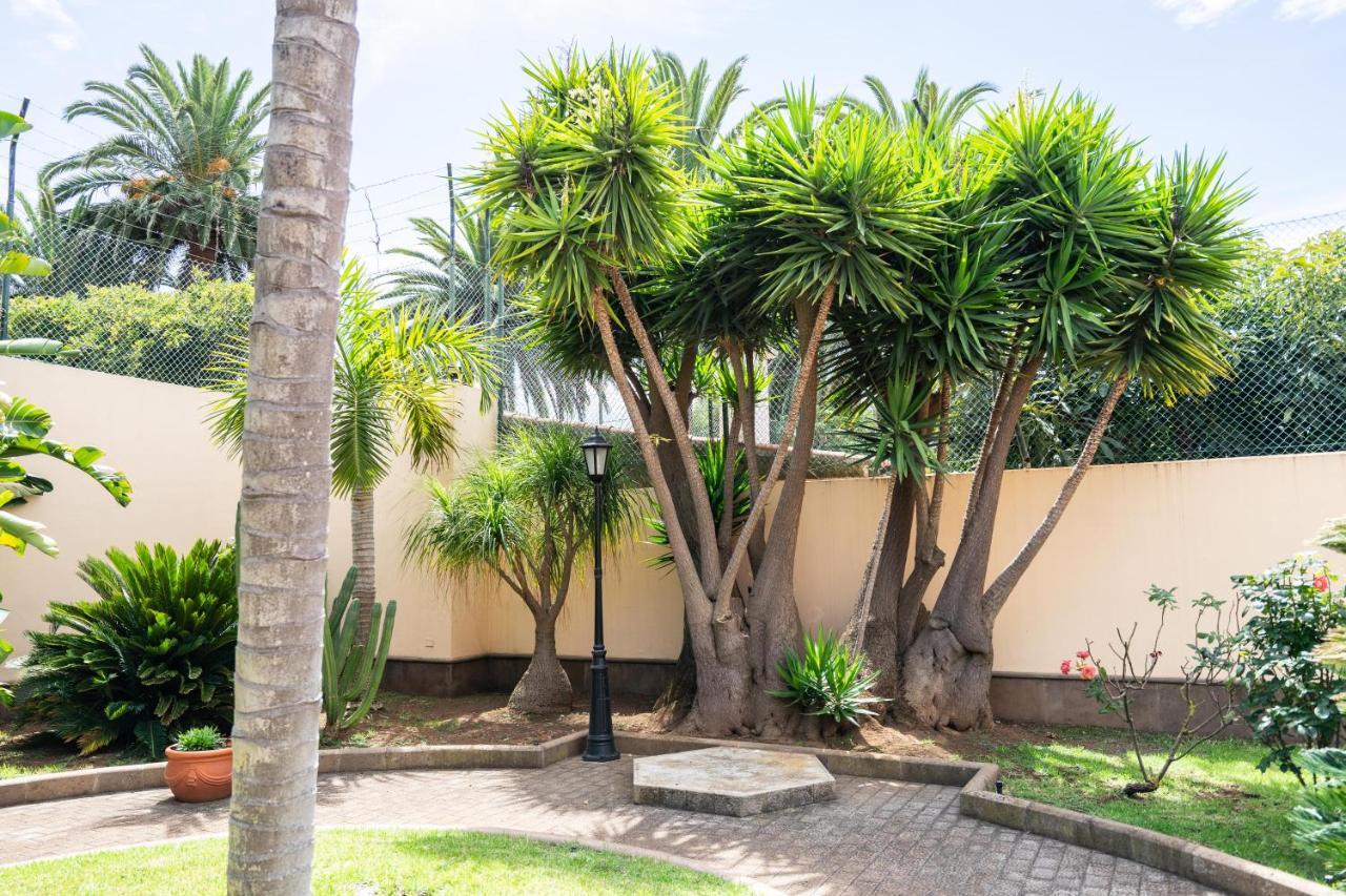Espectacular Casa Con Jardin "La Casa De Nena" Villa La Laguna  Eksteriør bilde