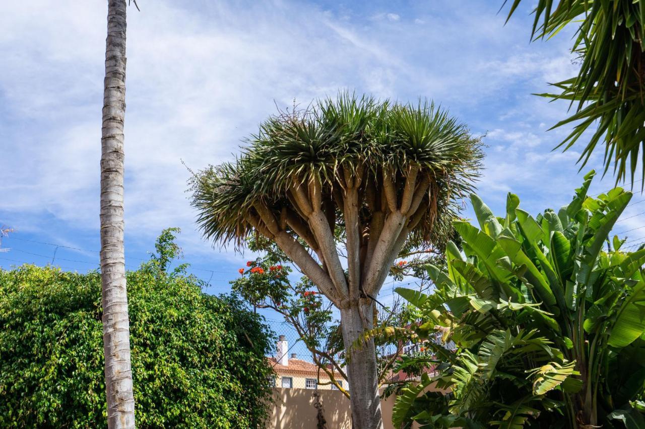 Espectacular Casa Con Jardin "La Casa De Nena" Villa La Laguna  Eksteriør bilde